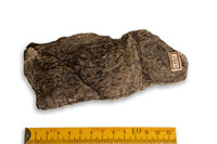 F 01220
<br/>
<br/>
<em></em>